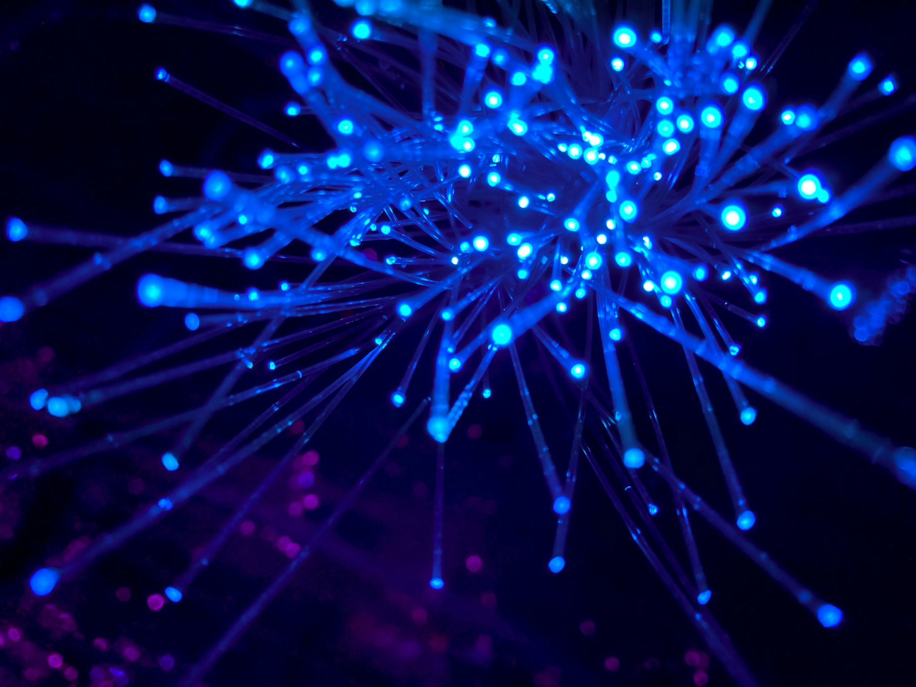 The Nexus neural data layer, visualizing live event streams across 40,000+ enterprise deployments worldwide.